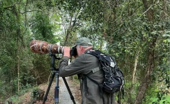 Asia life travel - birds watching tour