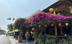 Hoian Tour