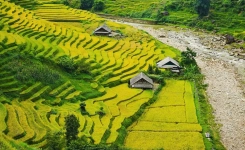 Lao Chai - Sapa