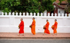 Monks in Luang Phrabang