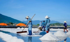 Ninh Diem salt field