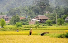 Tha Village in Ha Giang