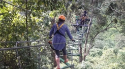 Tree House Vang Vieng